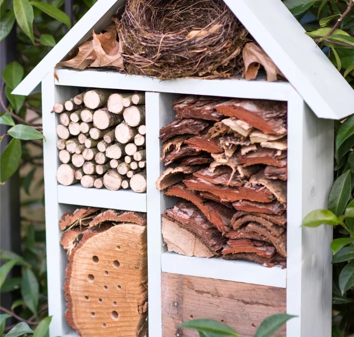 Comment fabriquer un hôtel à insectes : Guide pratique pour attirer la biodiversité dans votre jardin