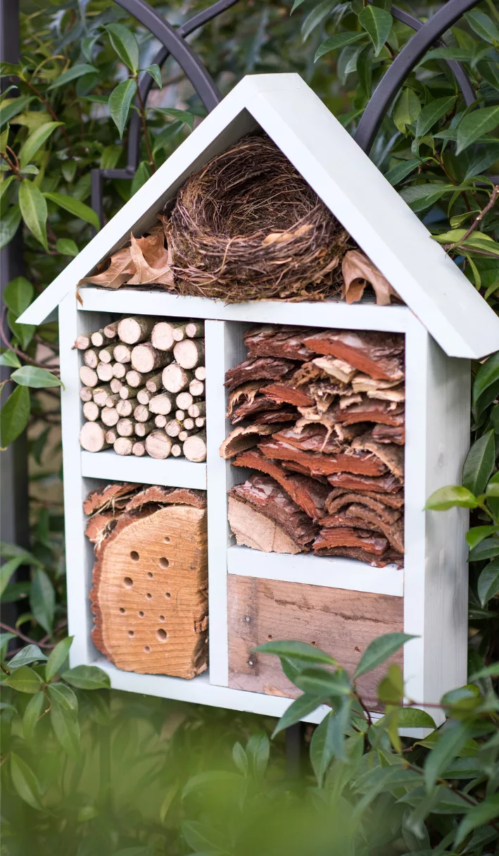 Comment fabriquer un hôtel à insectes : Guide pratique pour attirer la biodiversité dans votre jardin